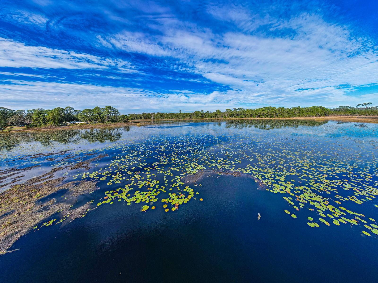 Image 49 of 58 For 37337 Turner Drive