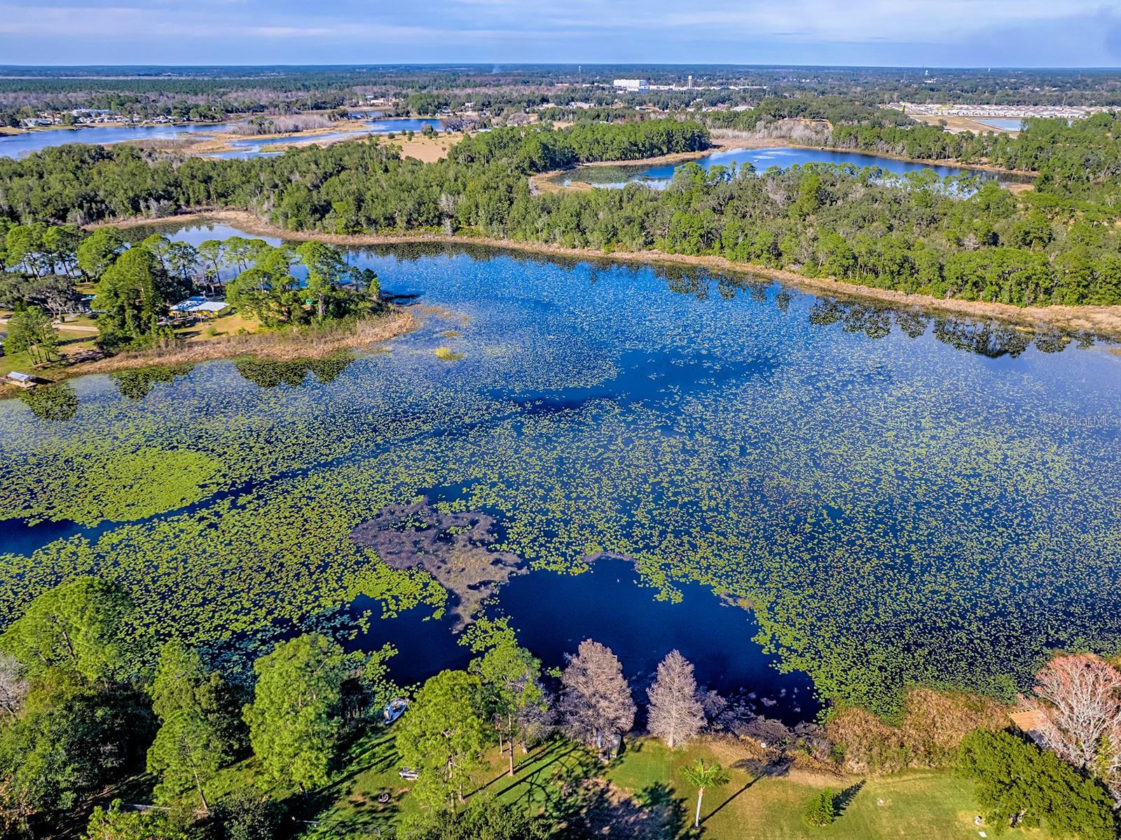 Image 51 of 58 For 37337 Turner Drive