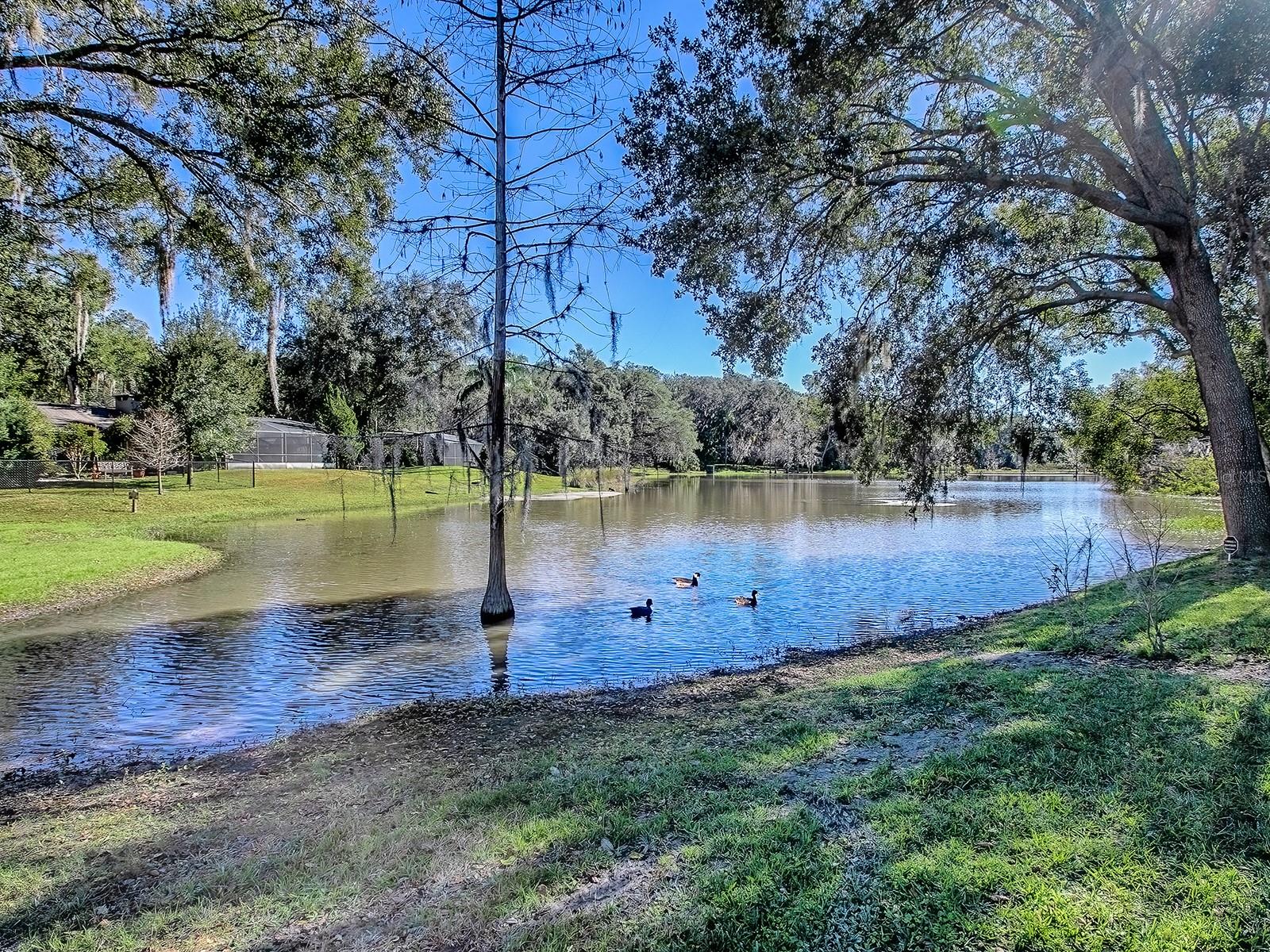 Image 43 of 69 For 2314 Hillside Drive