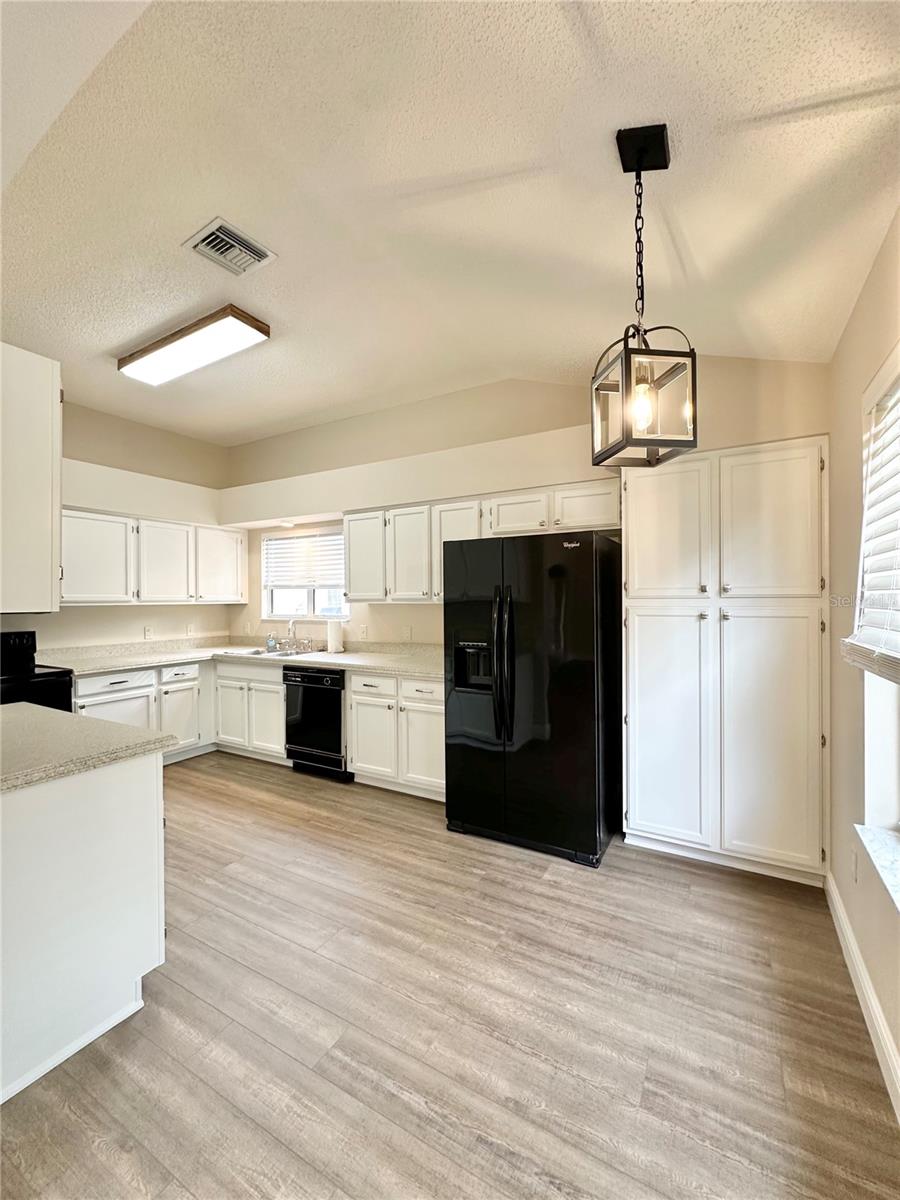 Image 29 of 49 For 206 Palermo Place