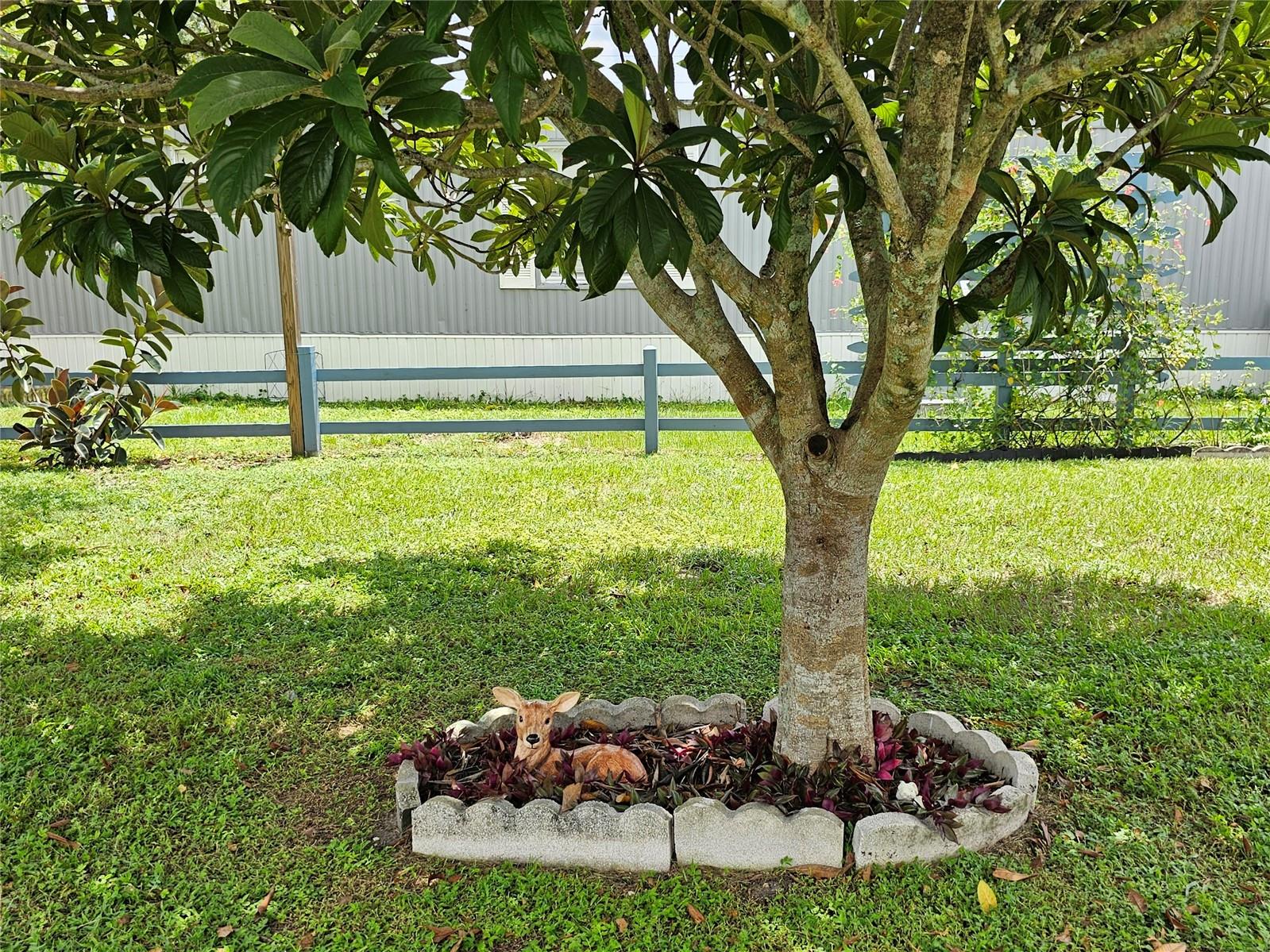 Image 23 of 24 For 1340 Sawdust Trail