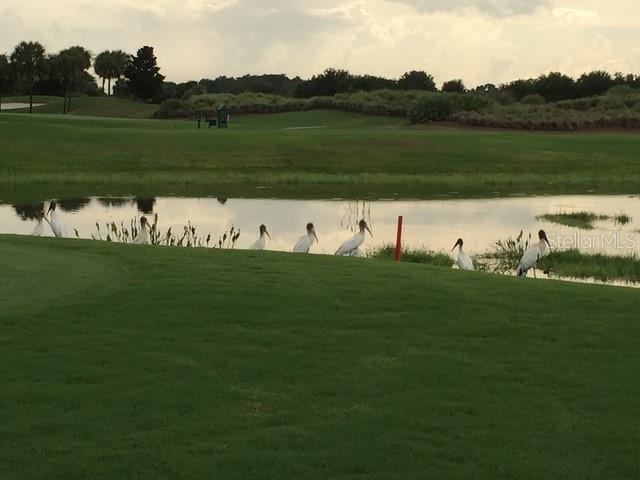 Image 39 of 45 For 1587 Hartsville Trail