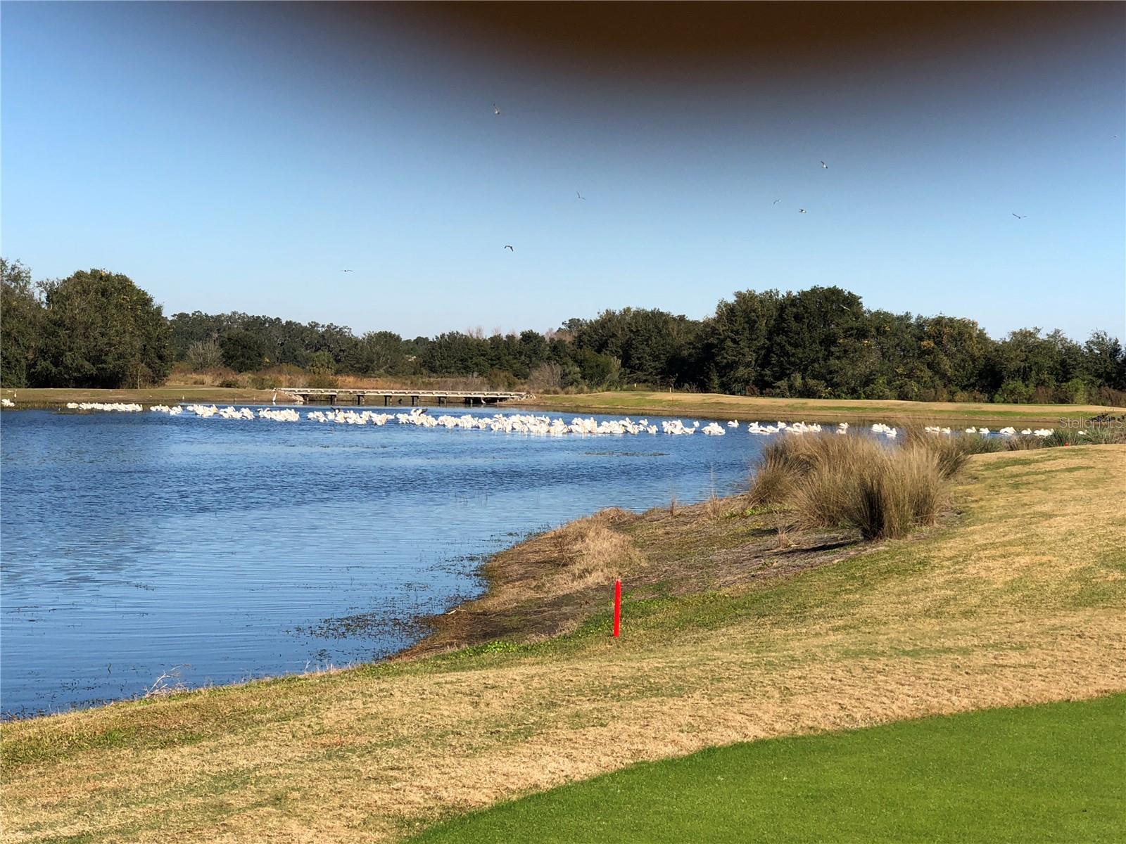 Image 40 of 45 For 1587 Hartsville Trail