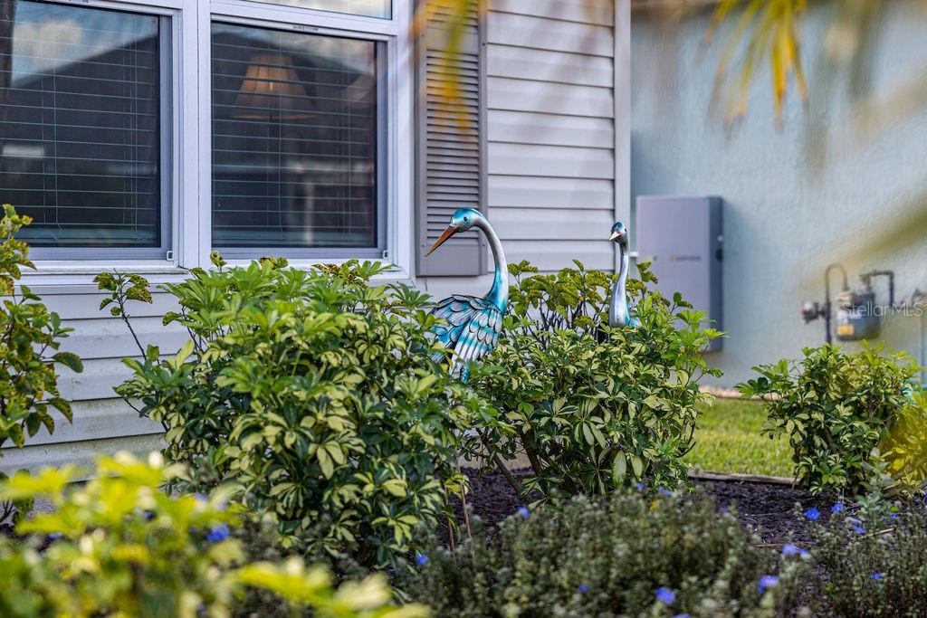 Image 6 of 50 For 2938 Chimborazo Way