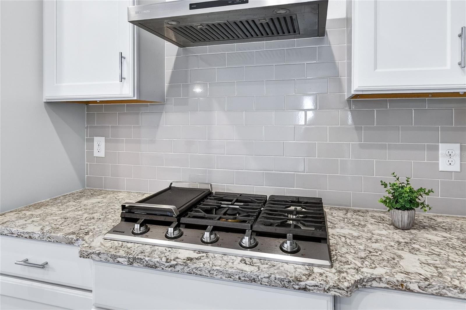 Image 8 of 53 For 8677 Bridgeport Bay Circle