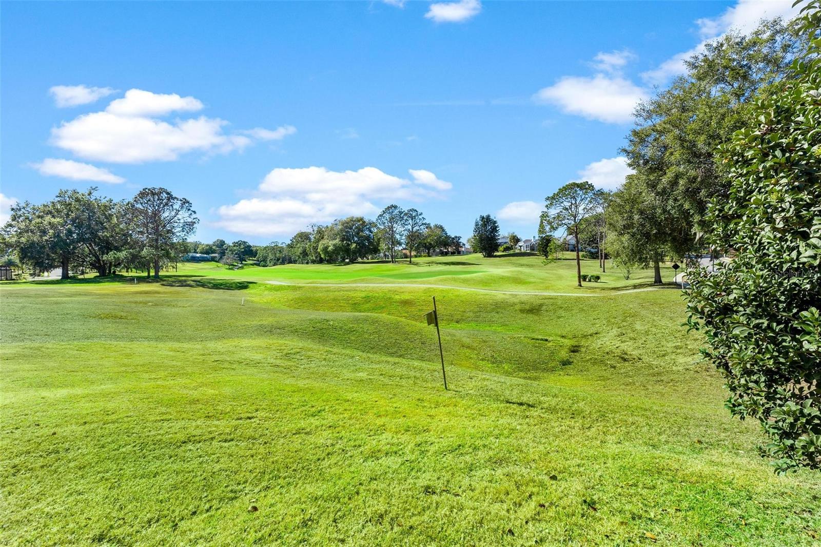 Image 7 of 73 For 5903 Spinnaker Loop