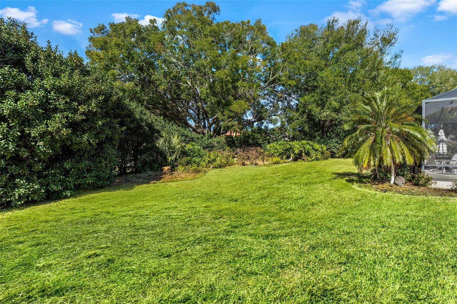 Image 72 of 73 For 5903 Spinnaker Loop