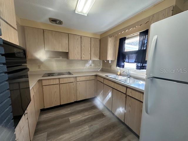 Image 2 of 14 For 803 Tangerine Street