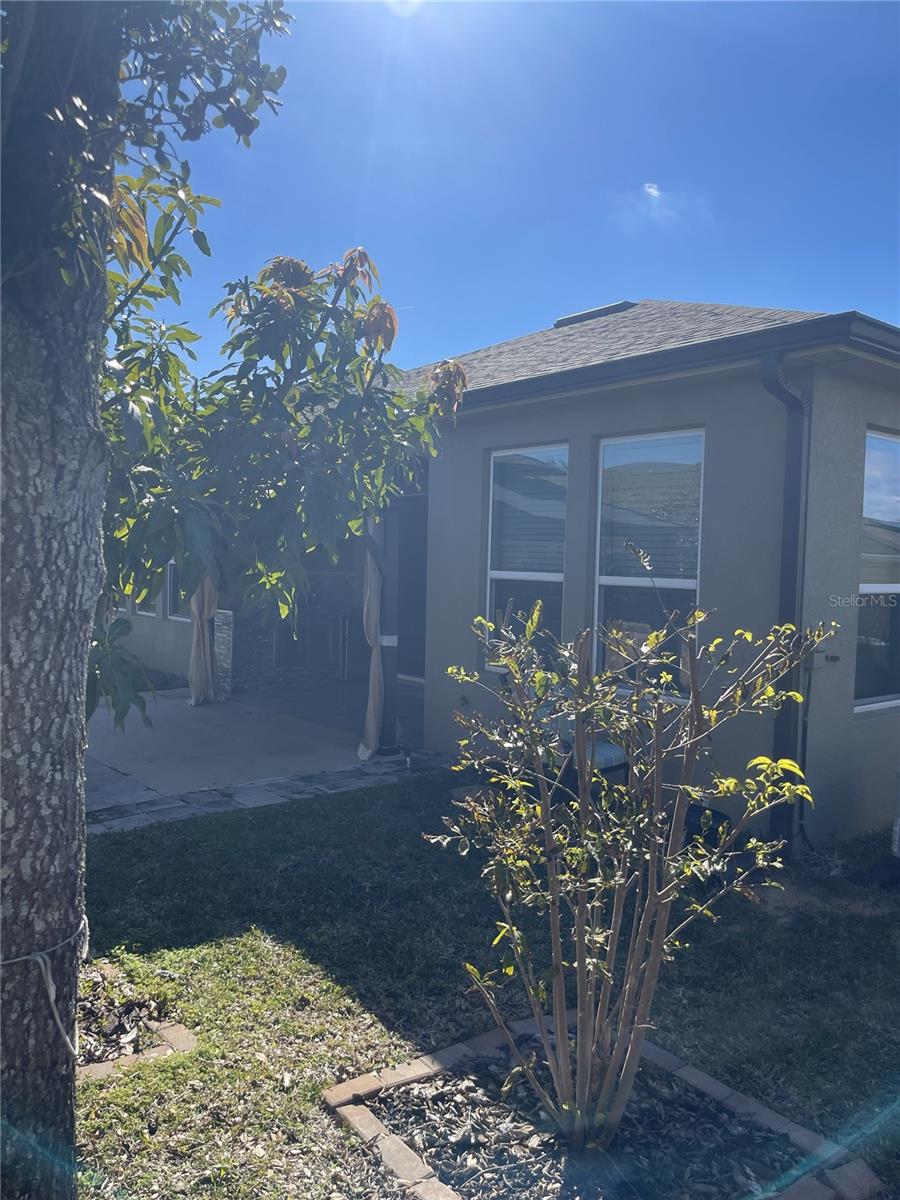 Image 36 of 41 For 2062 Redbay Avenue