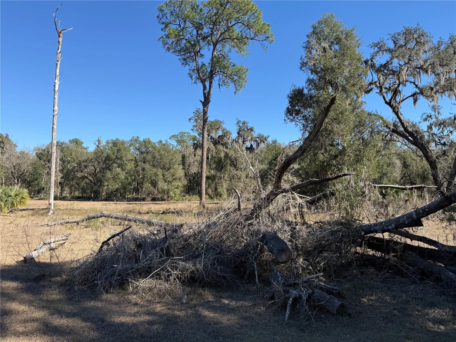 Image 25 of 45 For 18630 Bradshaw Road