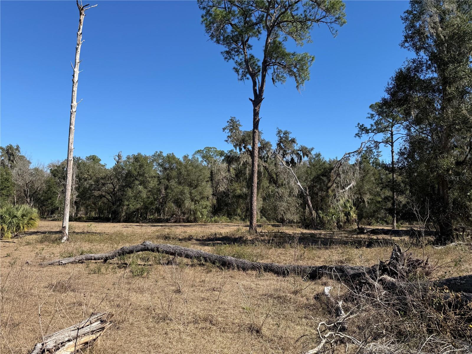 Image 26 of 45 For 18630 Bradshaw Road