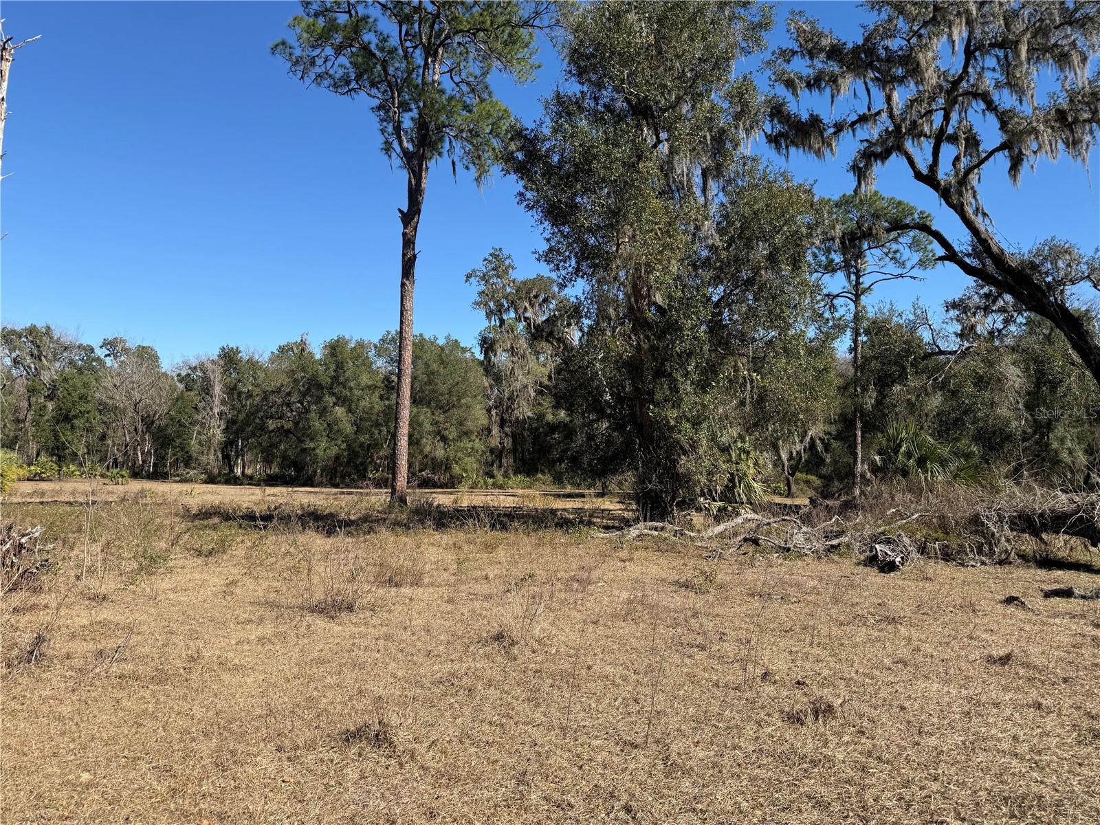 Image 28 of 45 For 18630 Bradshaw Road