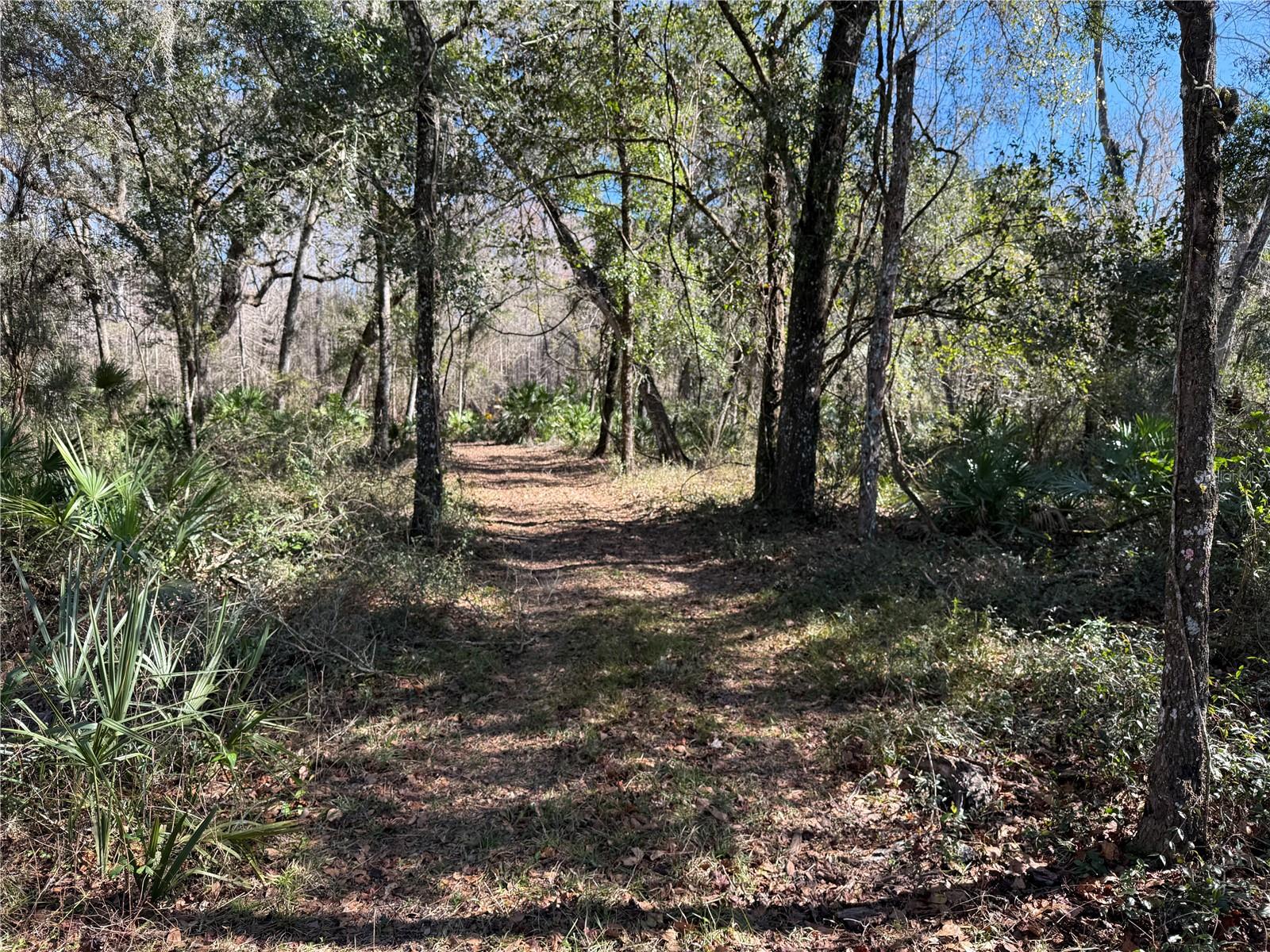 Image 32 of 45 For 18630 Bradshaw Road