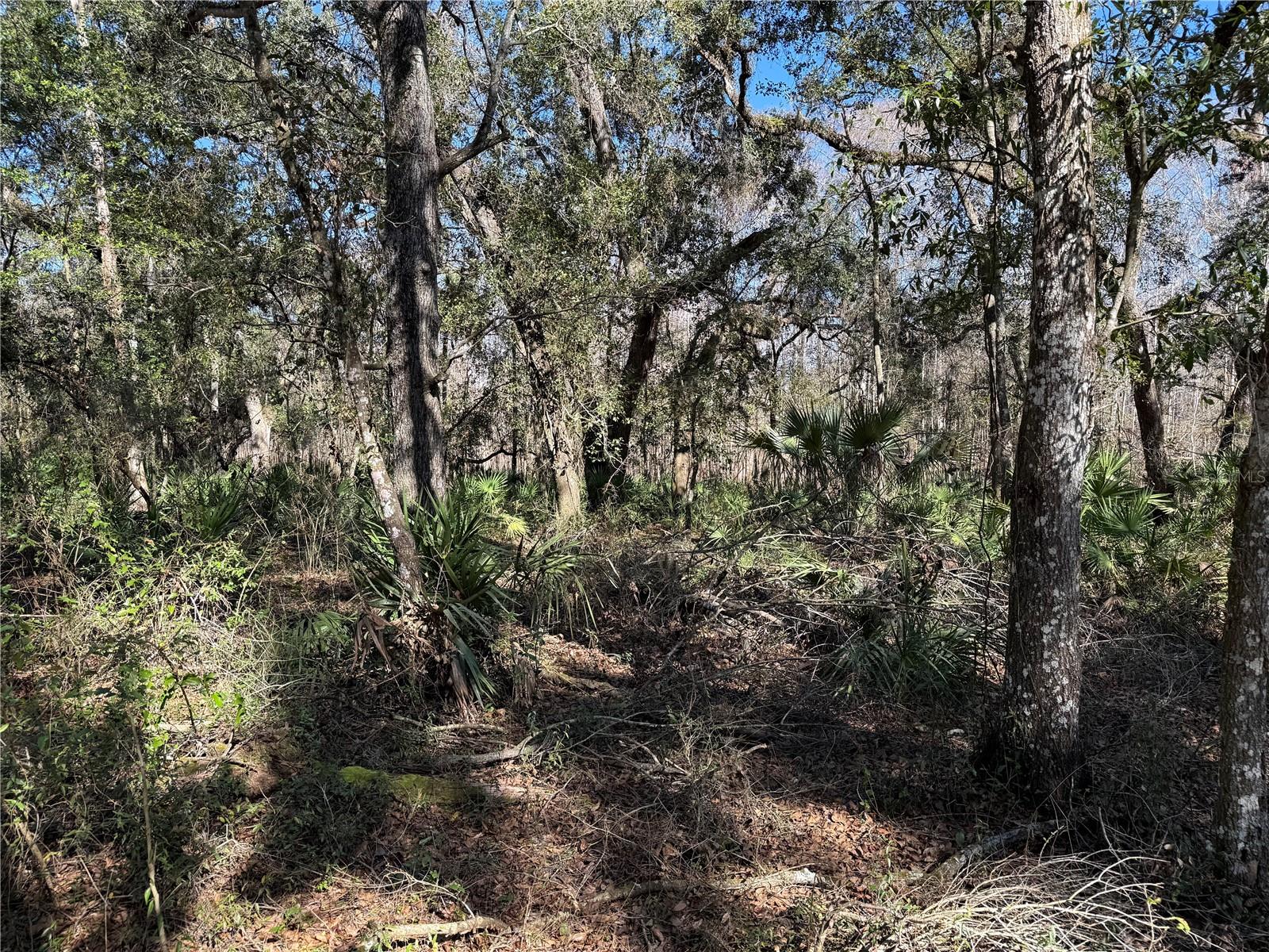 Image 33 of 45 For 18630 Bradshaw Road