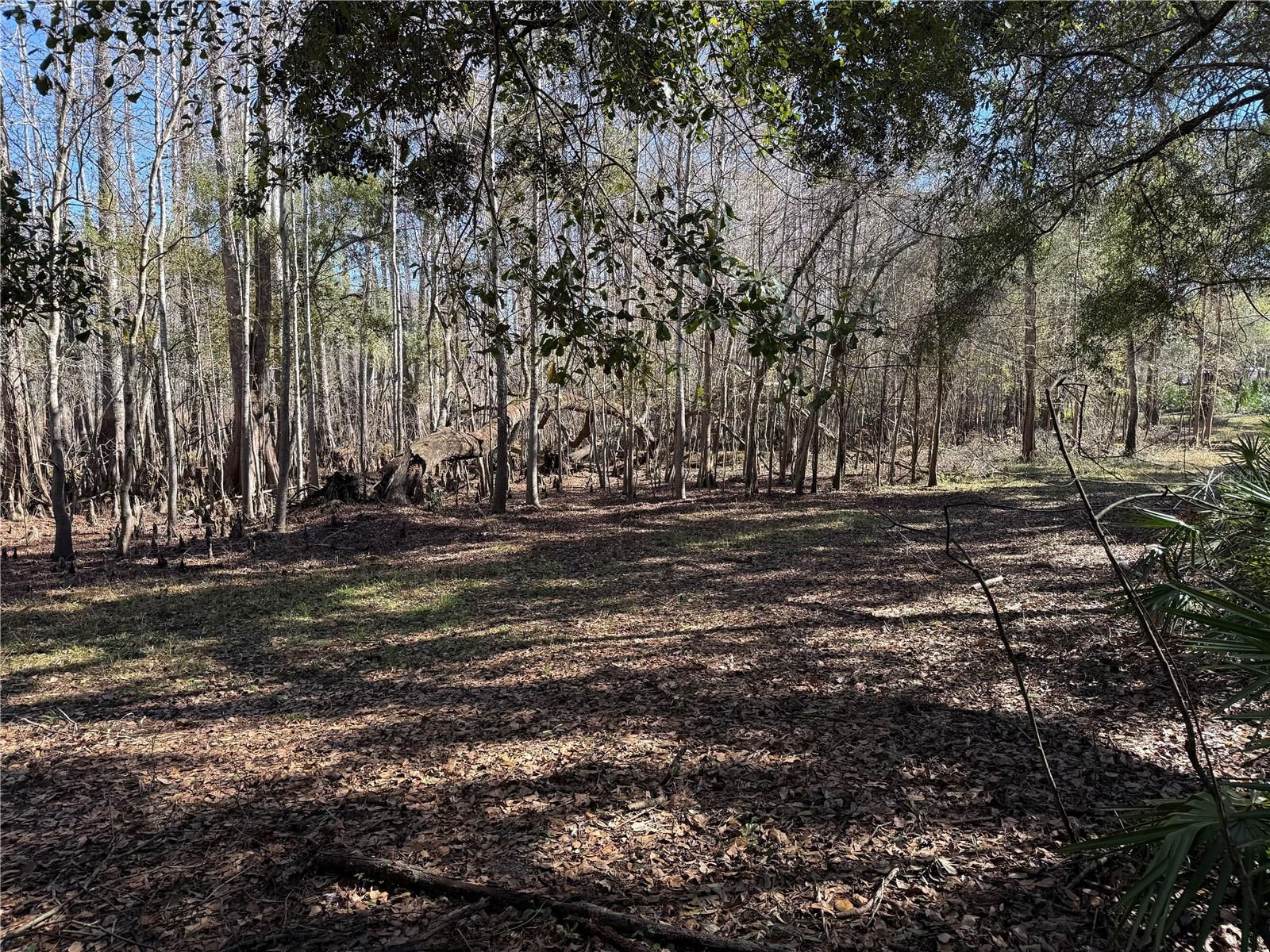 Image 37 of 45 For 18630 Bradshaw Road