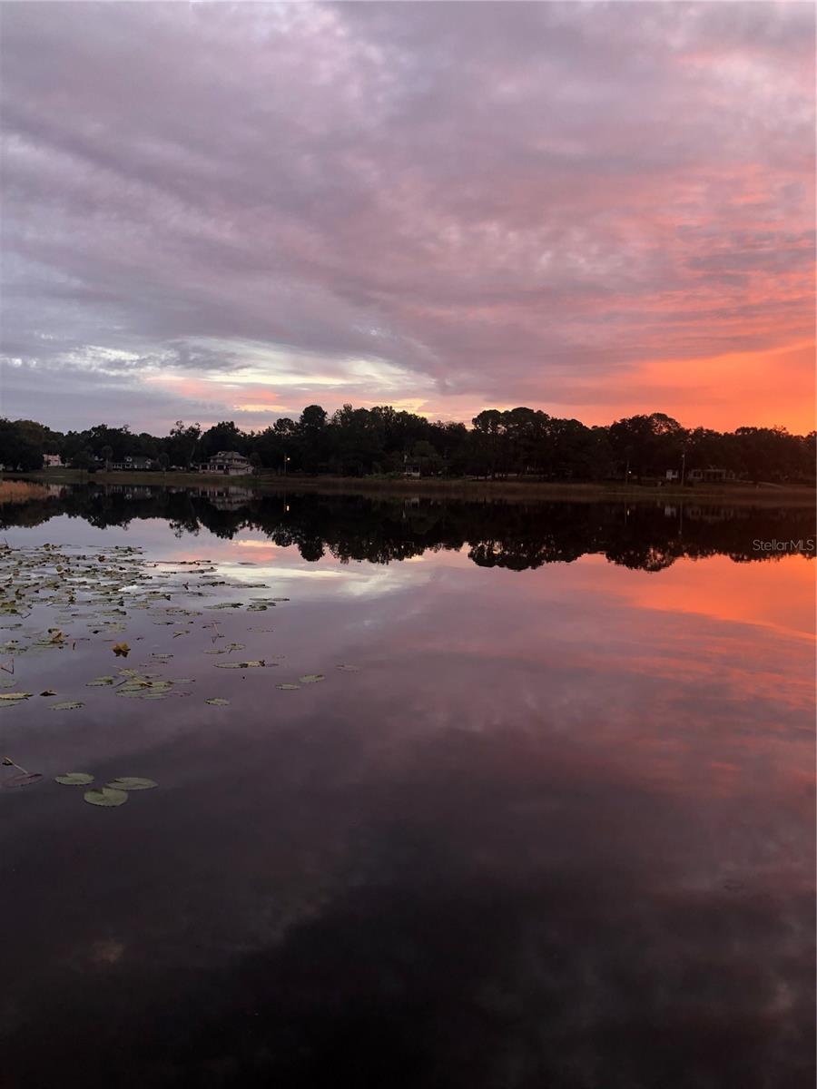 Image 40 of 46 For 243 Central Avenue