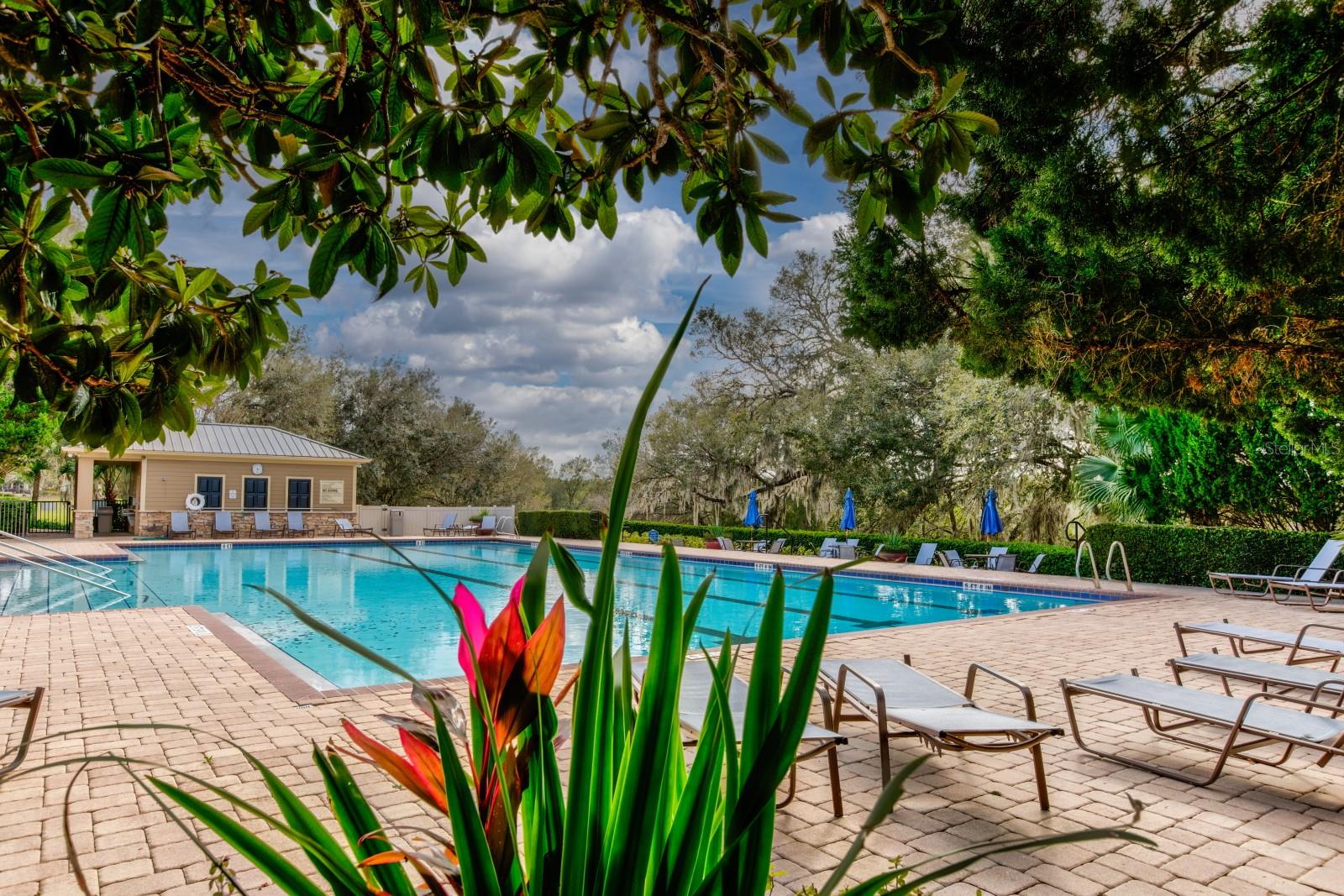 Image 45 of 57 For 21944 Belgian Court