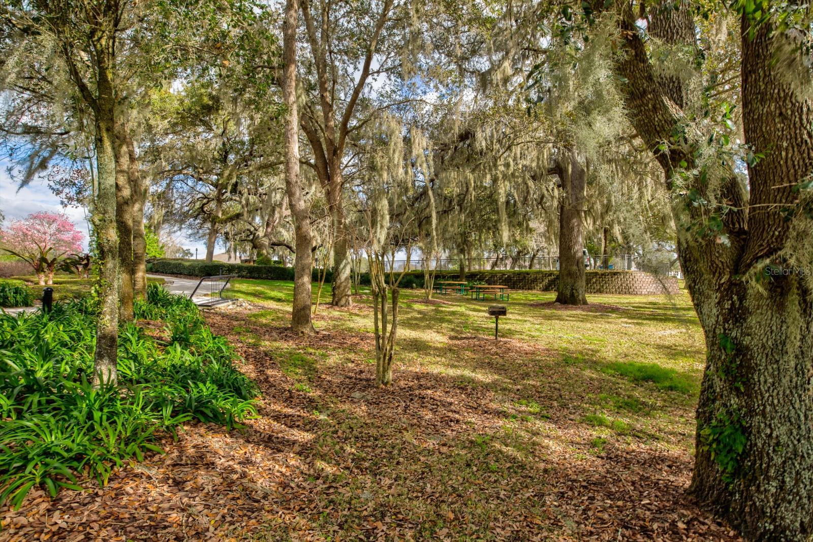 Image 51 of 57 For 21944 Belgian Court