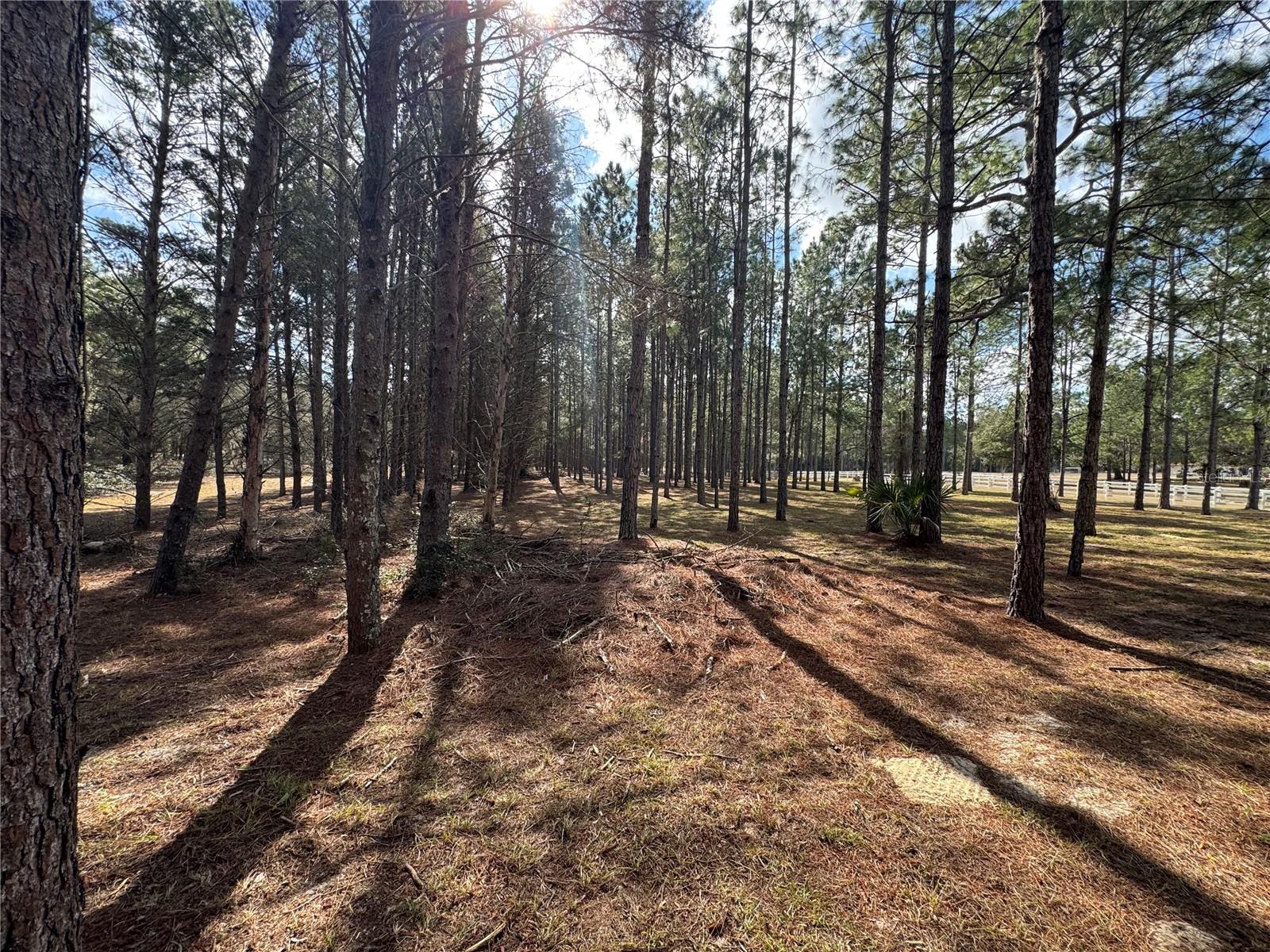 Image 2 of 6 For Sw 70th Terrace