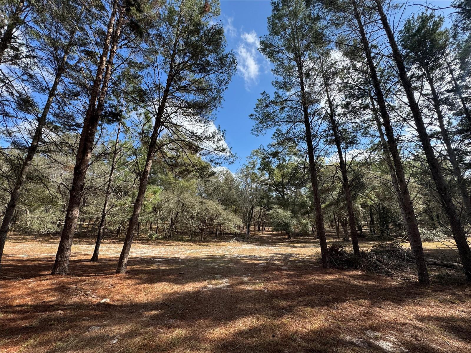 Image 4 of 6 For Sw 70th Terrace