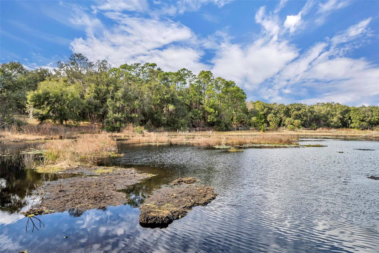 Image 35 of 80 For 24751 Highway 450