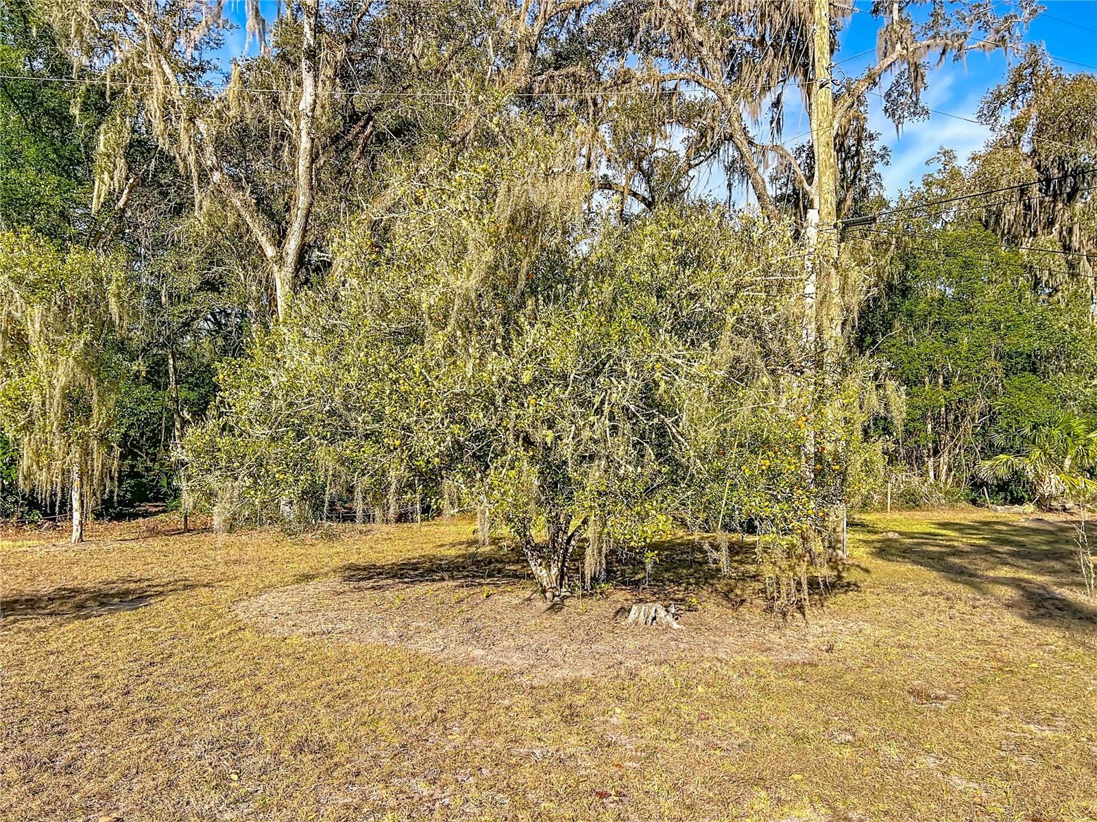 Image 40 of 43 For 19037 Ravenswood Road