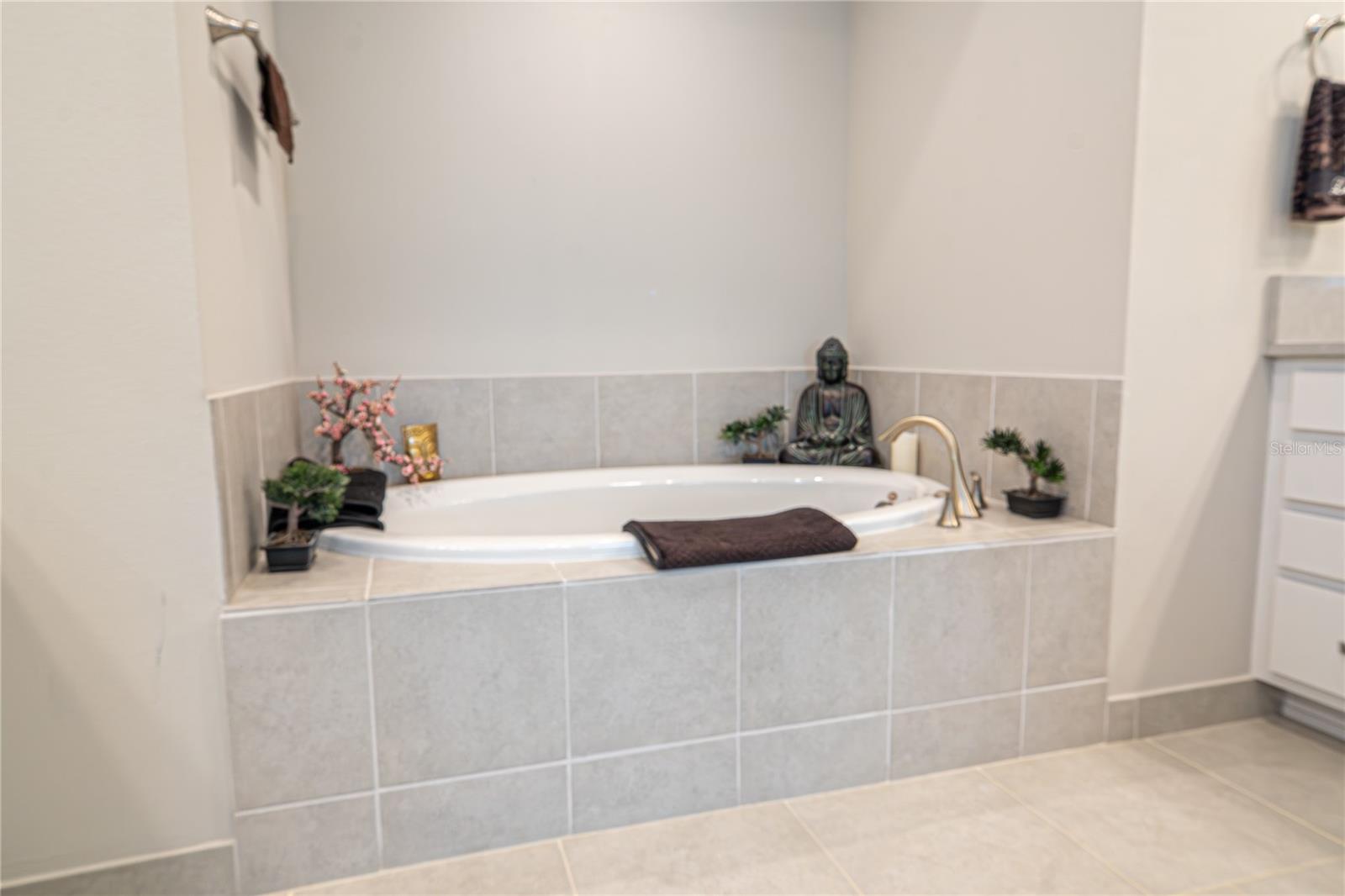 Listing photo id 57 for 5013 Sevilla Shores Drive