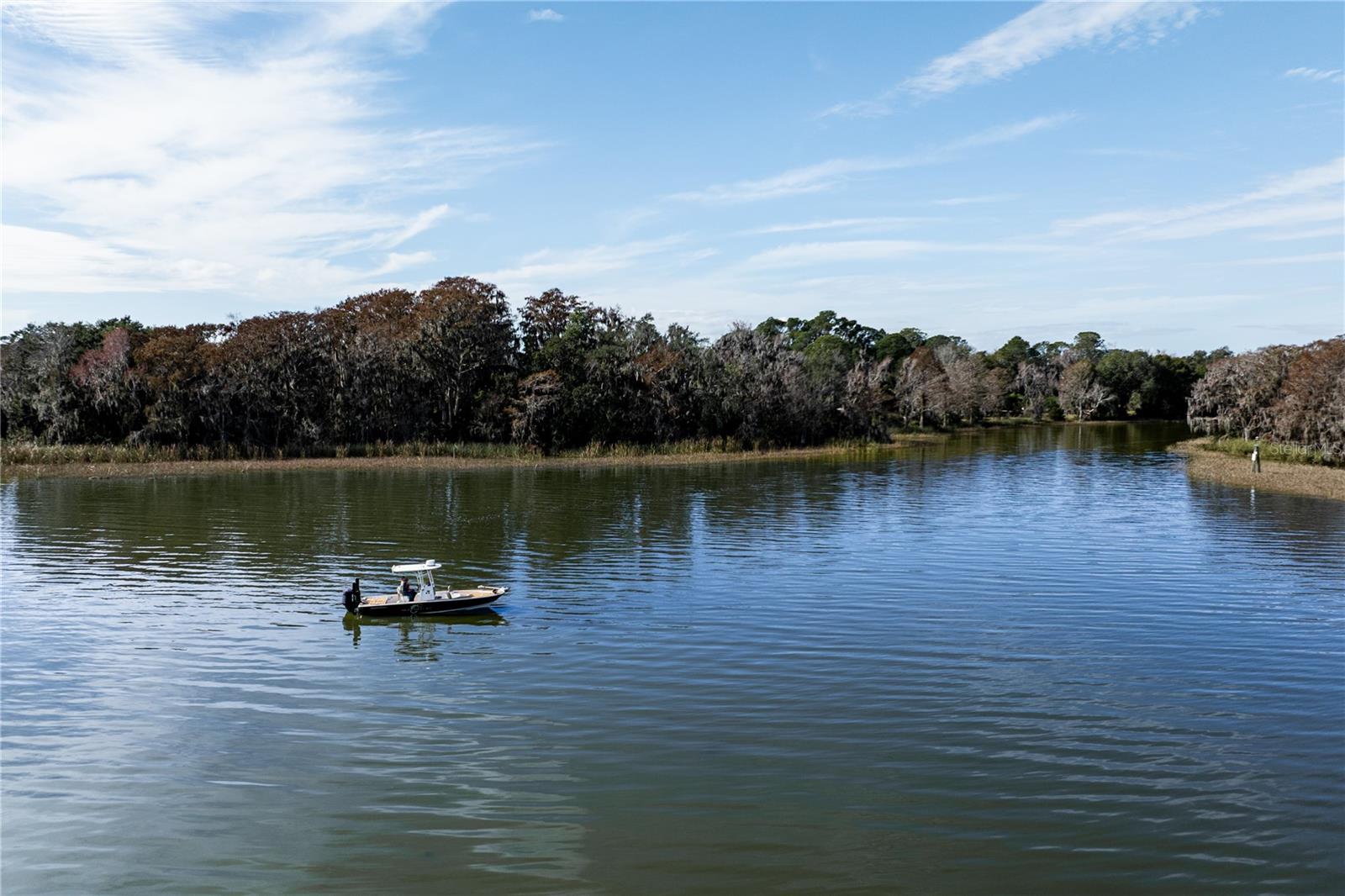 Image 38 of 43 For 11807 Ocklawaha Drive