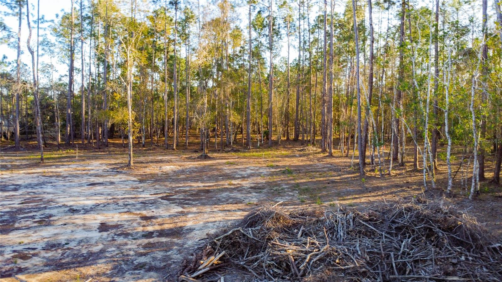 Image 20 of 42 For 0 State Road 33