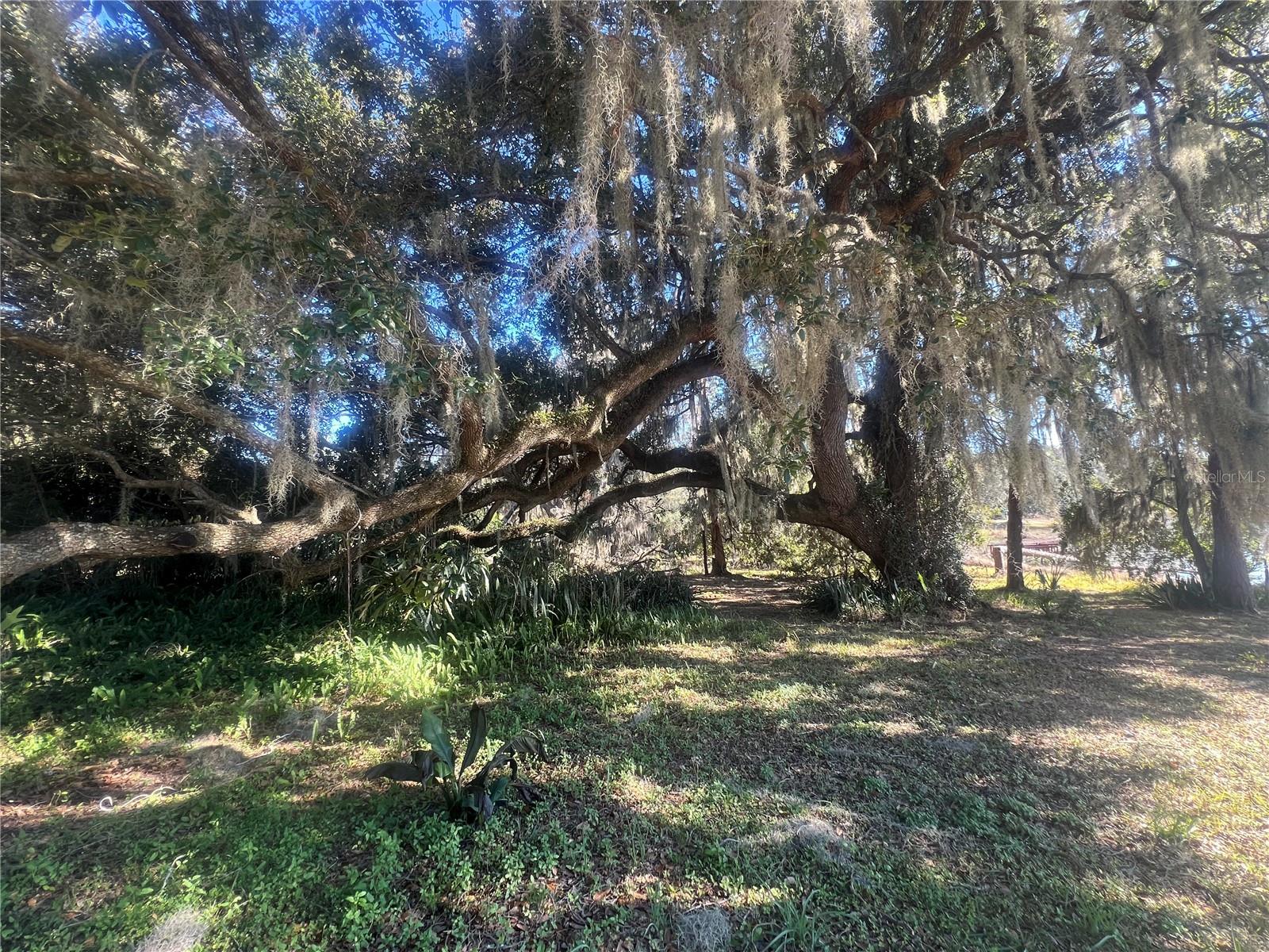 Image 6 of 35 For 4244 North Road