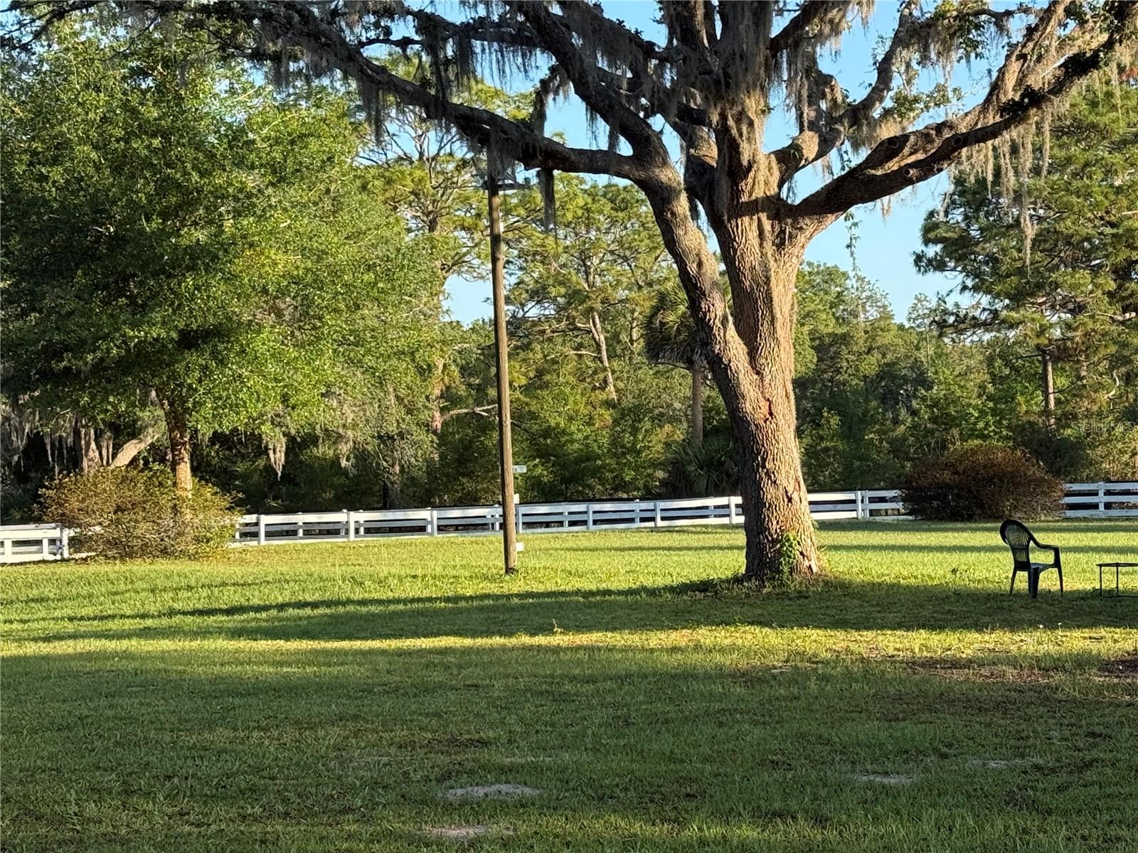 Image 55 of 74 For 33015 Sahara Court