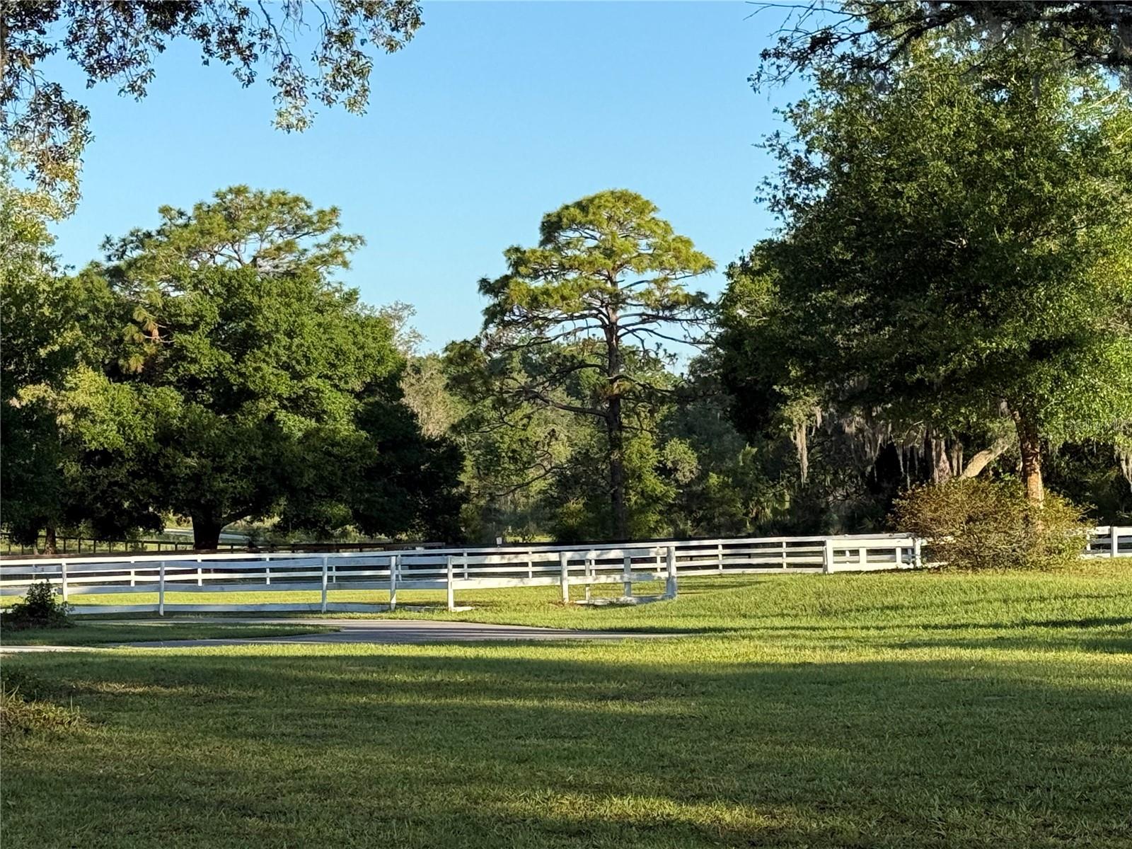 Image 56 of 74 For 33015 Sahara Court