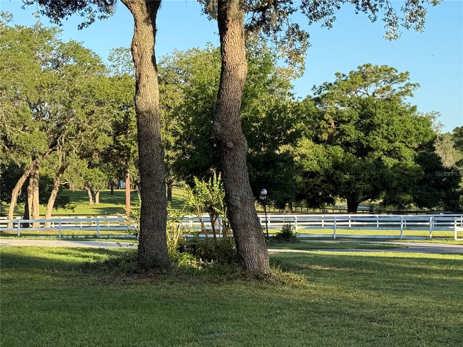 Image 60 of 74 For 33015 Sahara Court