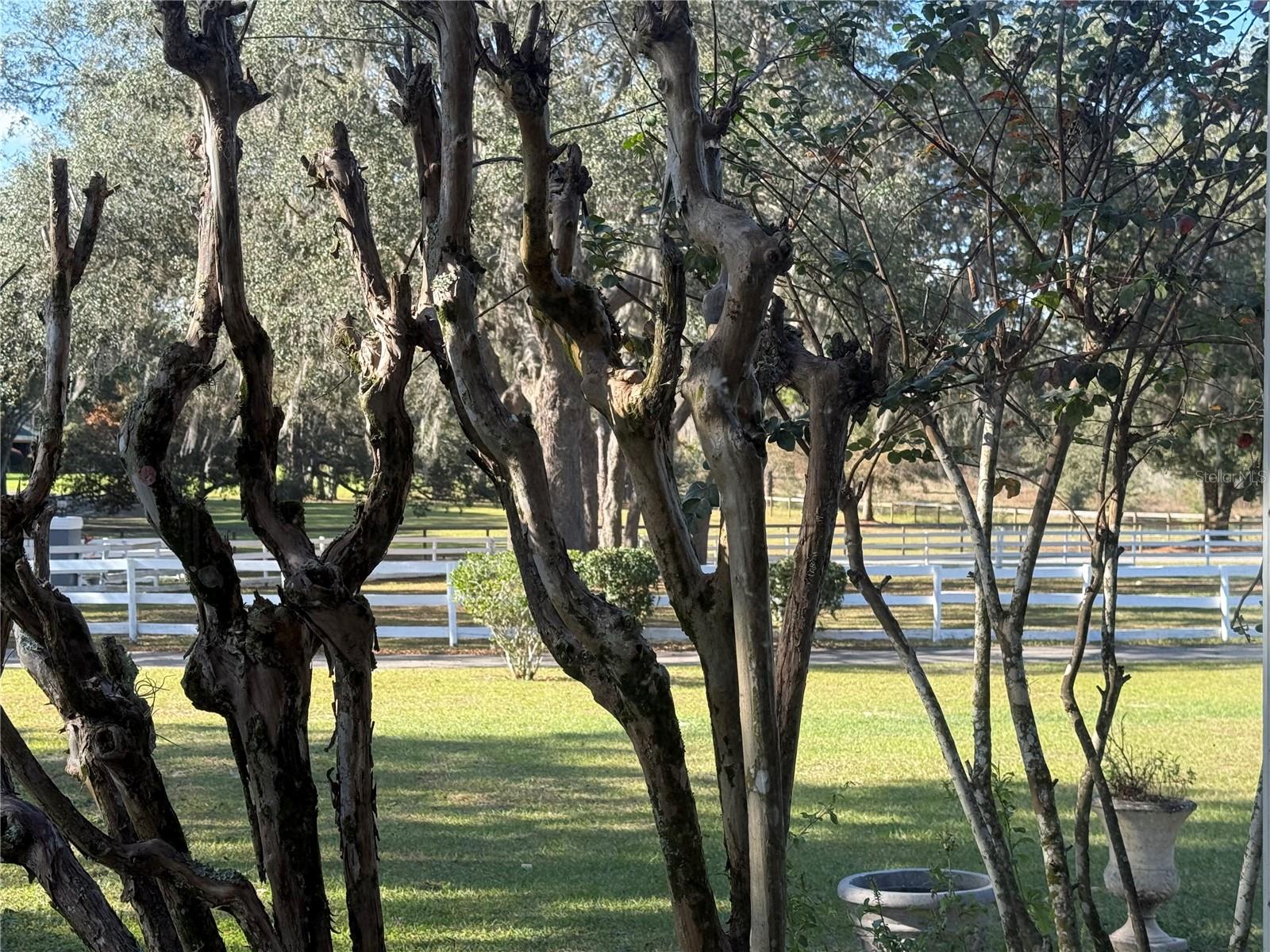 Image 67 of 74 For 33015 Sahara Court