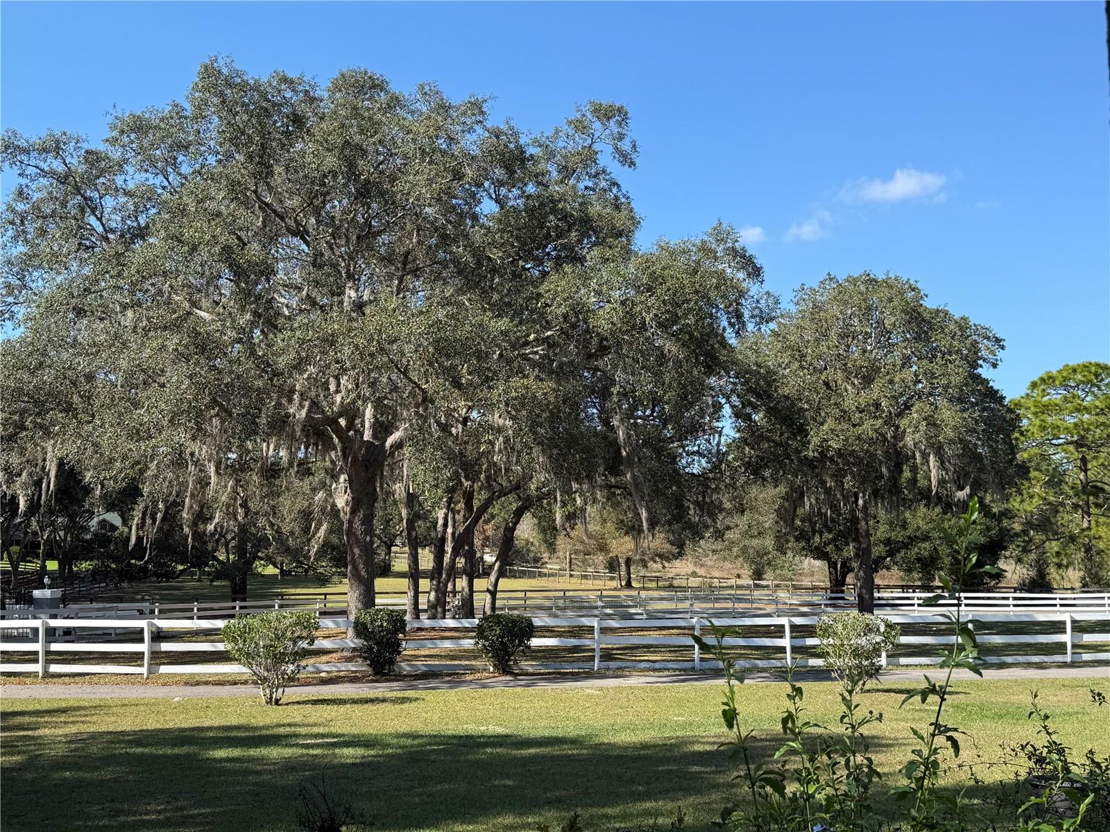 Image 68 of 74 For 33015 Sahara Court