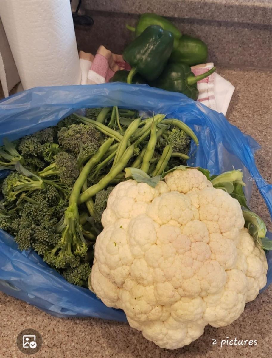 Image 48 of 66 For 21046 County Road 33