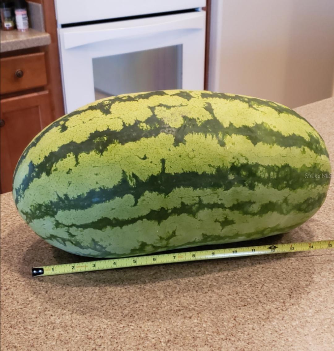 Image 49 of 66 For 21046 County Road 33