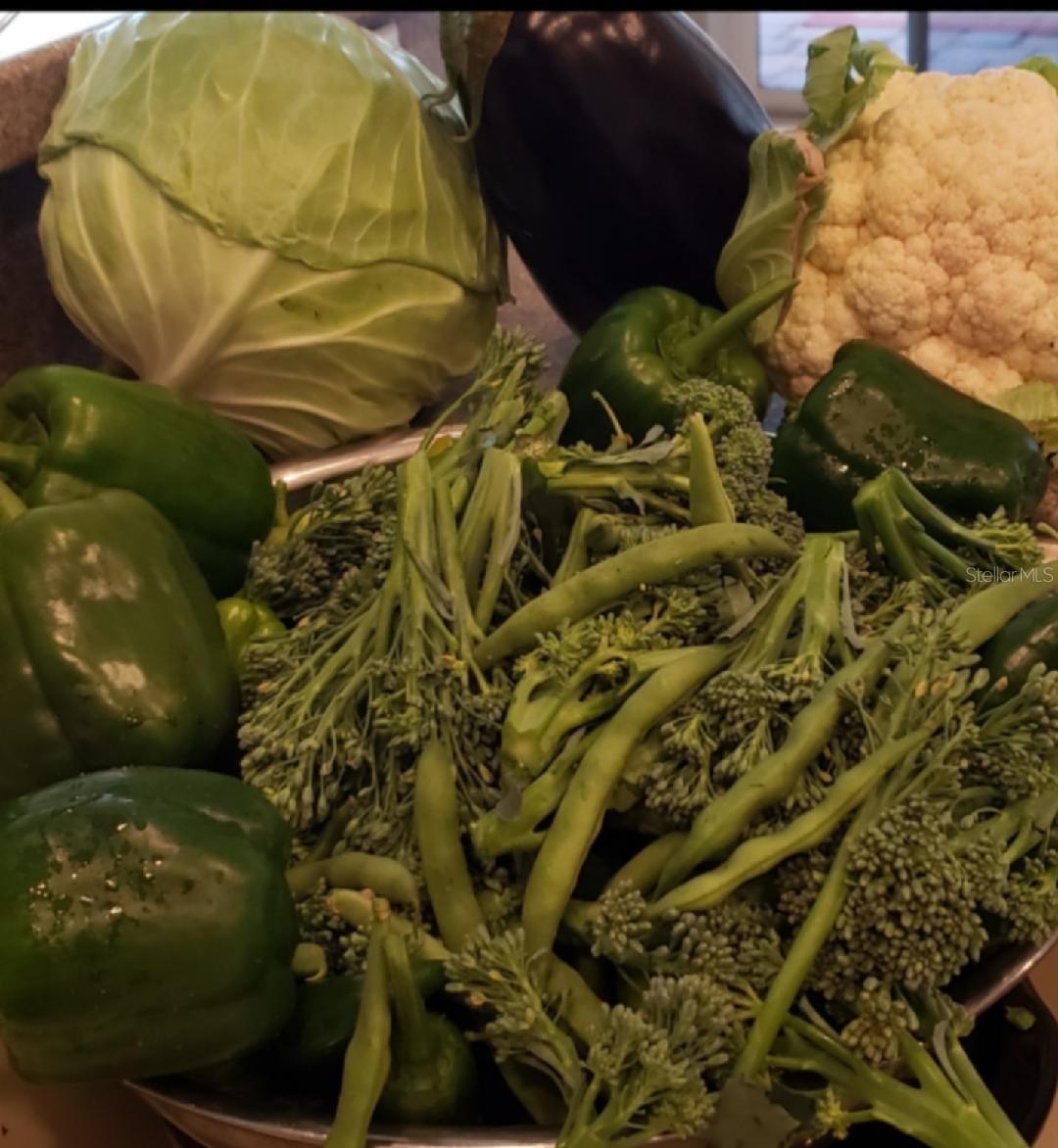 Image 50 of 66 For 21046 County Road 33