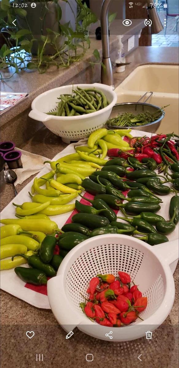 Image 56 of 66 For 21046 County Road 33