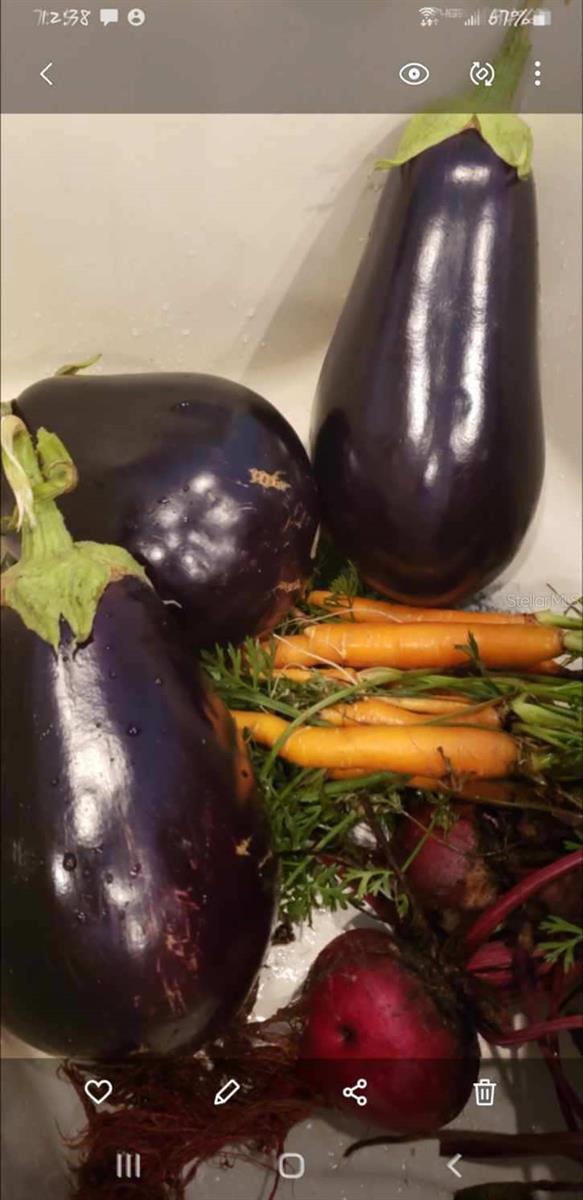 Image 58 of 66 For 21046 County Road 33