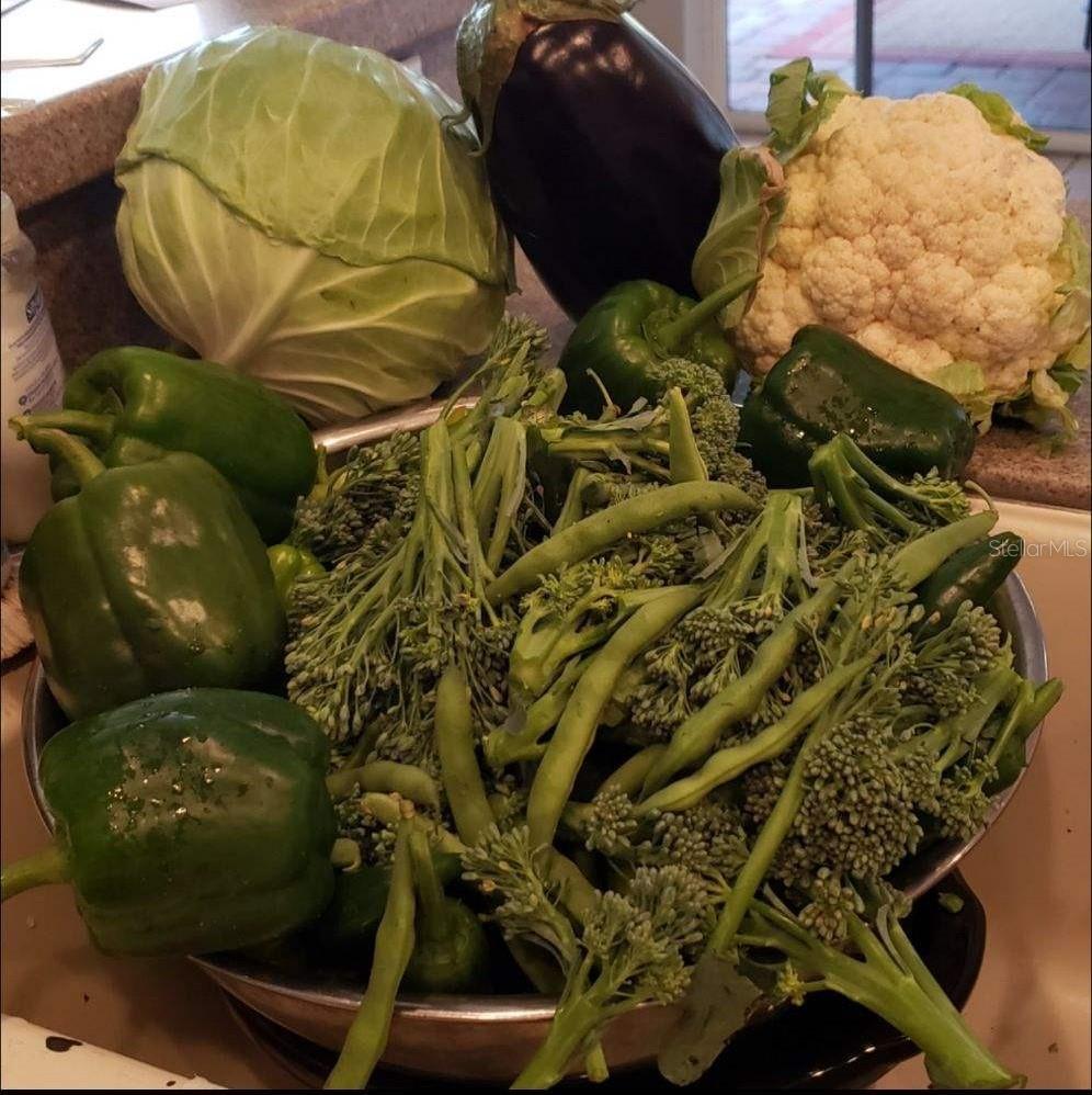 Image 61 of 66 For 21046 County Road 33