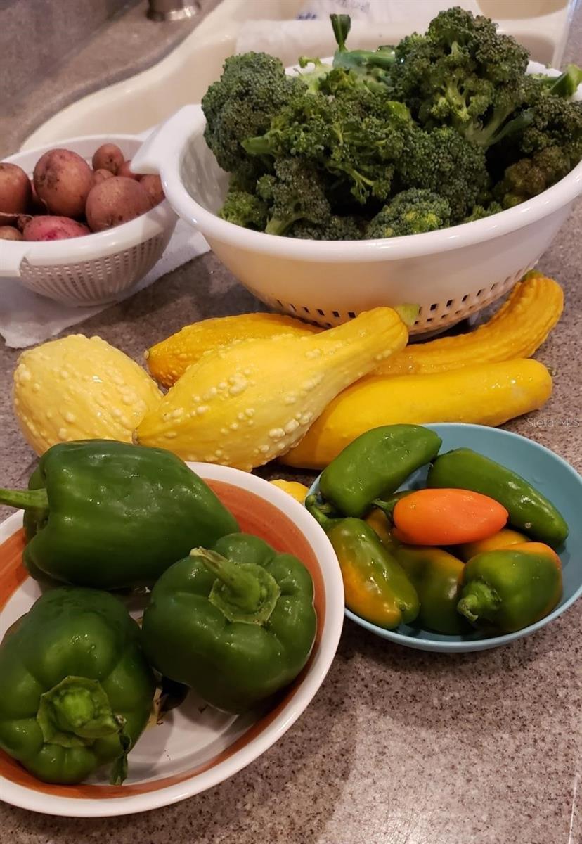 Image 62 of 66 For 21046 County Road 33