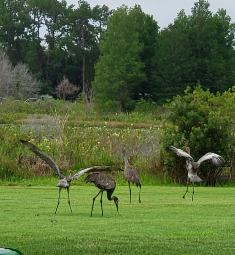 Image 64 of 66 For 21046 County Road 33