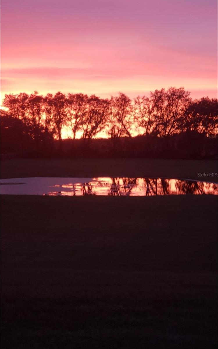 Image 65 of 66 For 21046 County Road 33