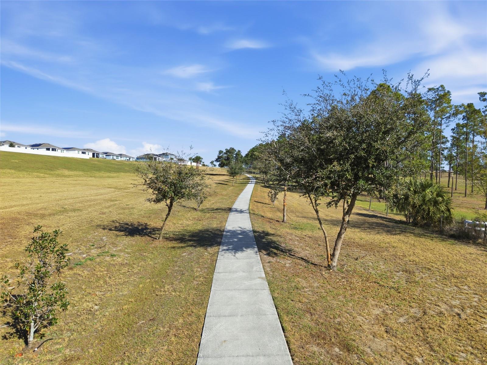 Image 42 of 48 For 954 Laurel View Way