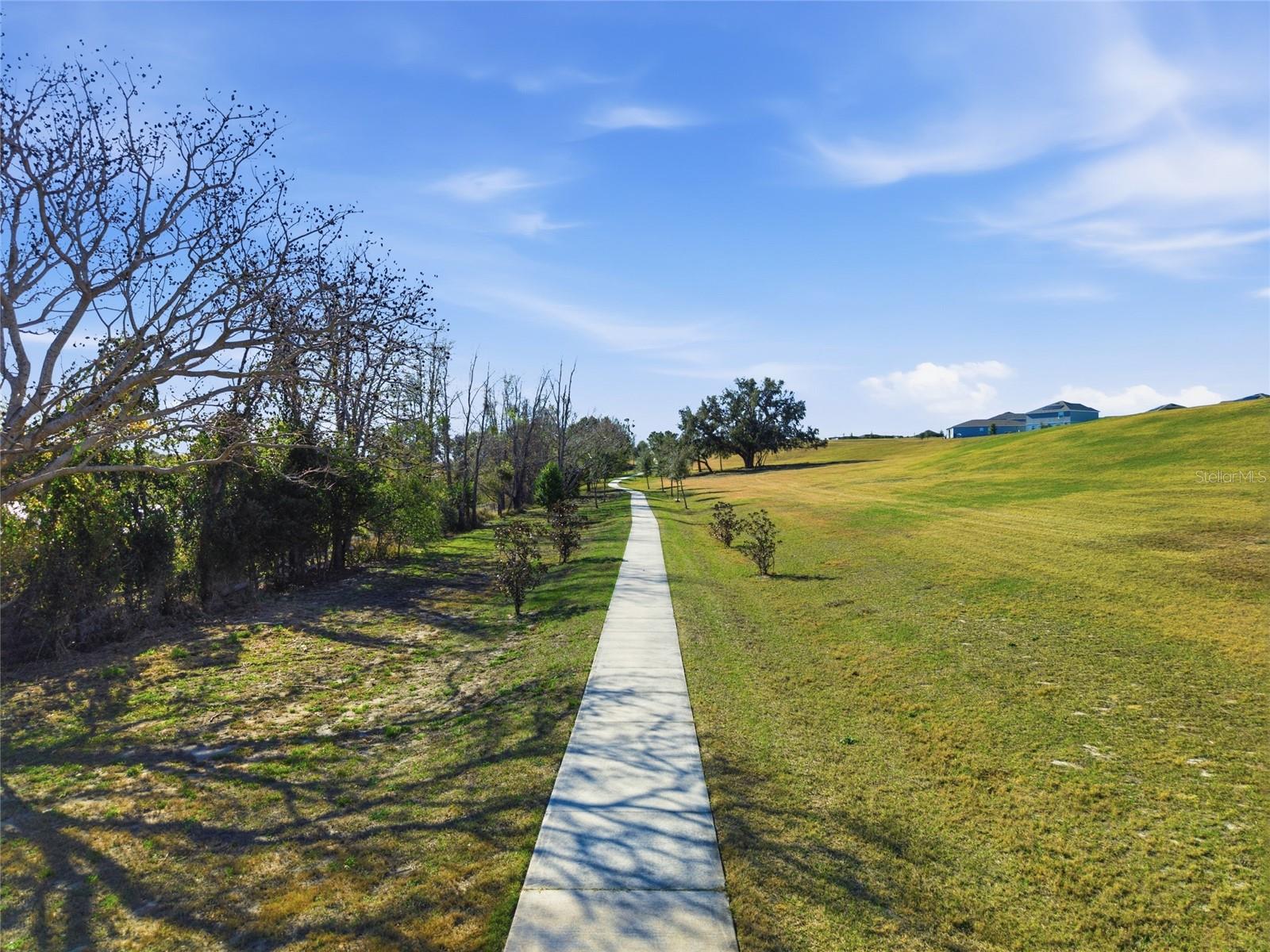 Image 43 of 48 For 954 Laurel View Way