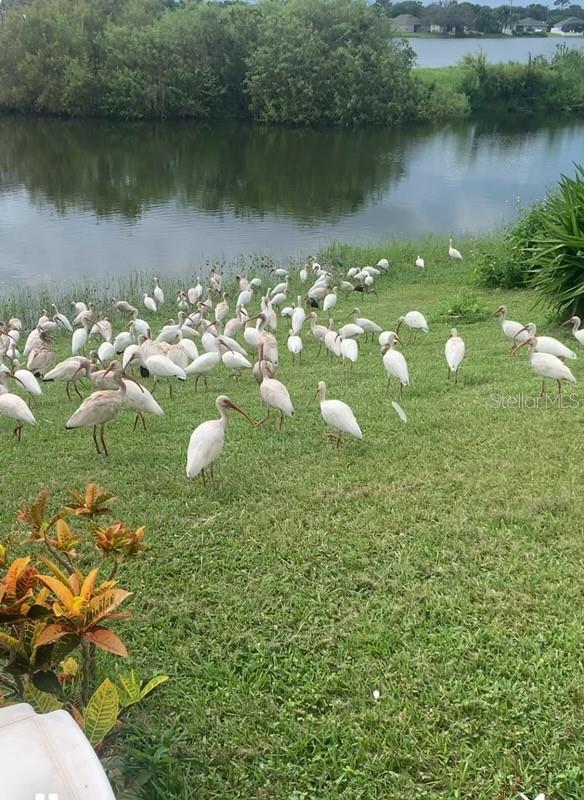 Image 23 of 30 For 4718 Waterside Pointe Circle