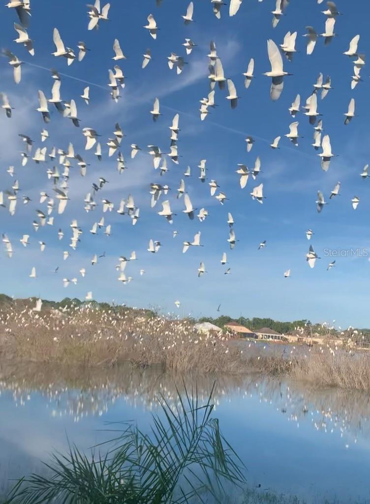 Image 25 of 30 For 4718 Waterside Pointe Circle