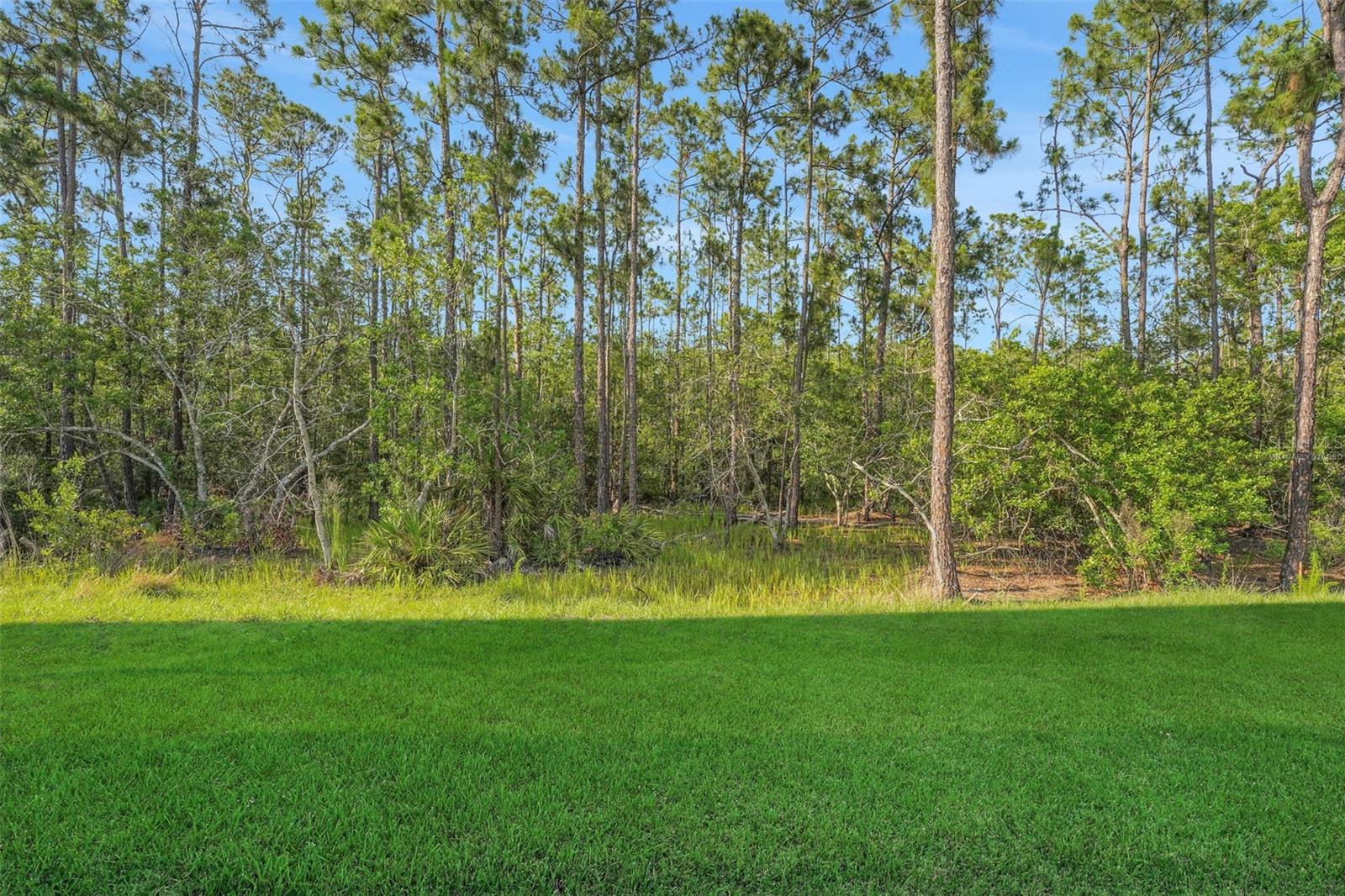 Image 6 of 61 For 14285 Crest Palm Avenue