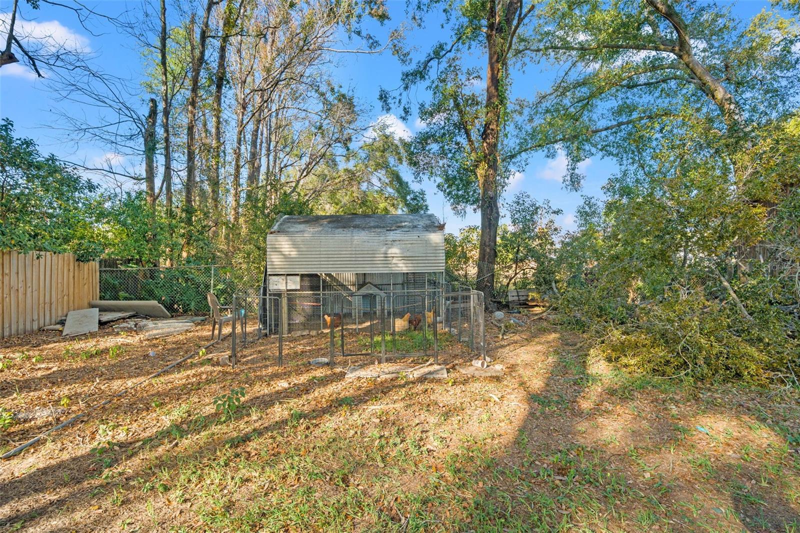 Listing photo id 25 for 509 Oakwood Avenue